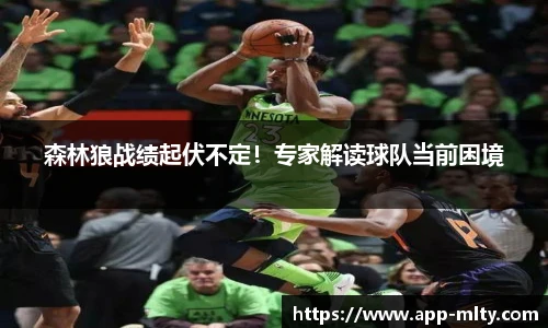 森林狼战绩起伏不定!专家解读球队当前困境